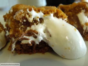 smoresbars2