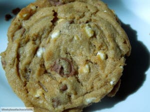 BiscoffMallowBitCookies5