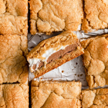 cropped-smores-bars-cut-into-squares-with-the-middle-one-sticking-up-showing-the-layers-1-of-1.jpg
