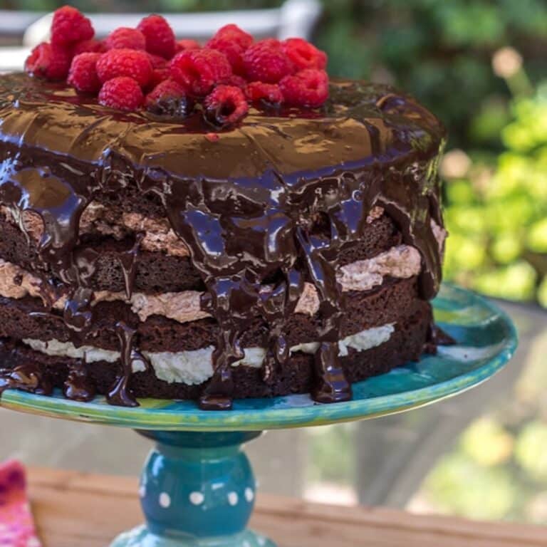 Triple Chocolate Layer Cake with raspberries on top sitting on a blue and green cake stand with a pink linen in the background