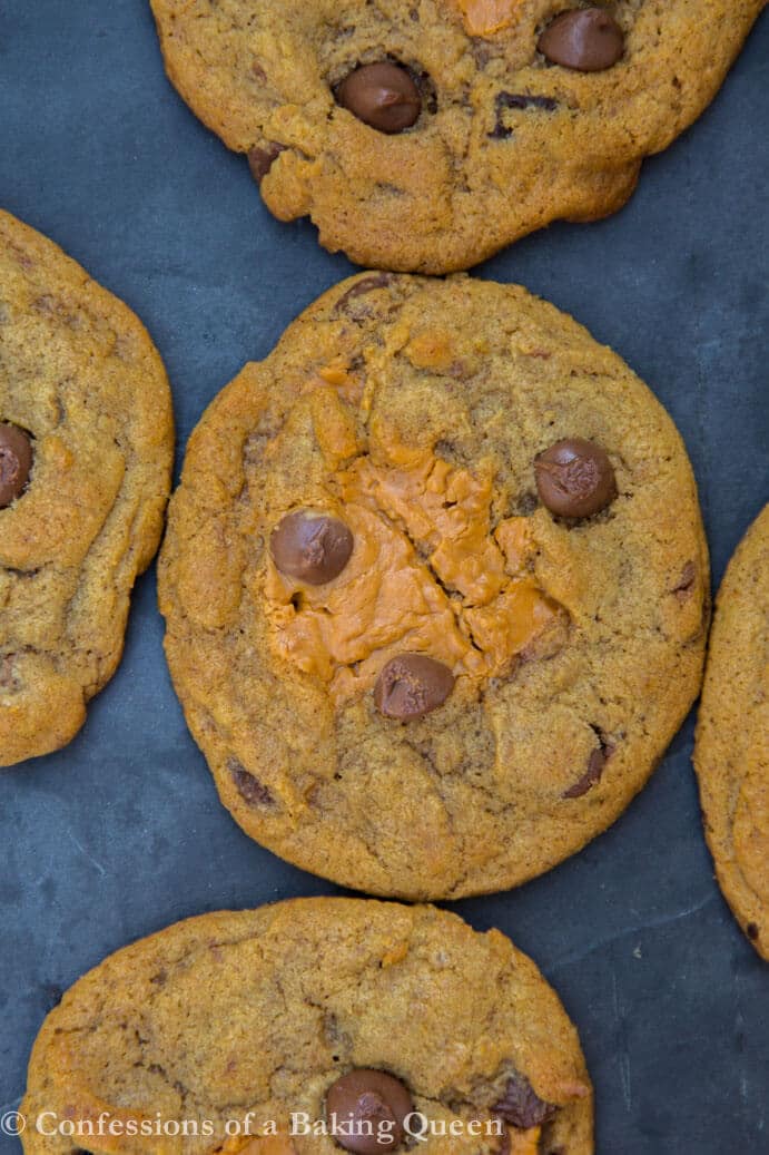 Pumpkin Chocolate Chip Cookie Butter Cookies baked and served on a black slate background
