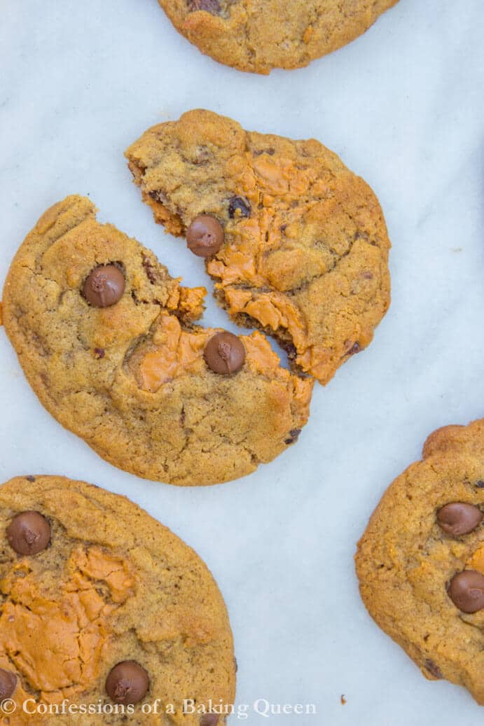 Pumpkin Chocolate Chip Cookie Butter Cookies one broken in half on white marble background
