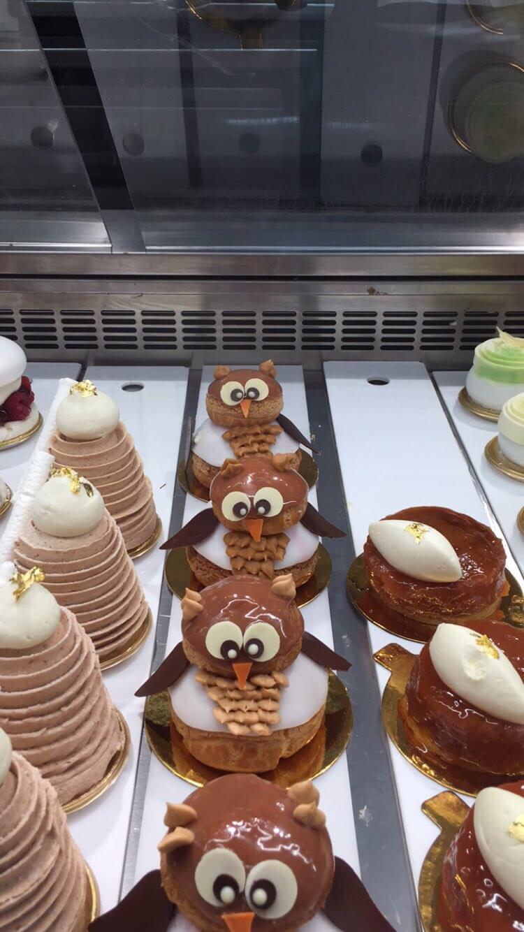 owl pastries lined up in a pastry case next to more pastries