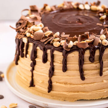 cropped-close-up-of-chocolate-peanut-butter-cake-on-a-white-plate-1-of-1-1.jpg