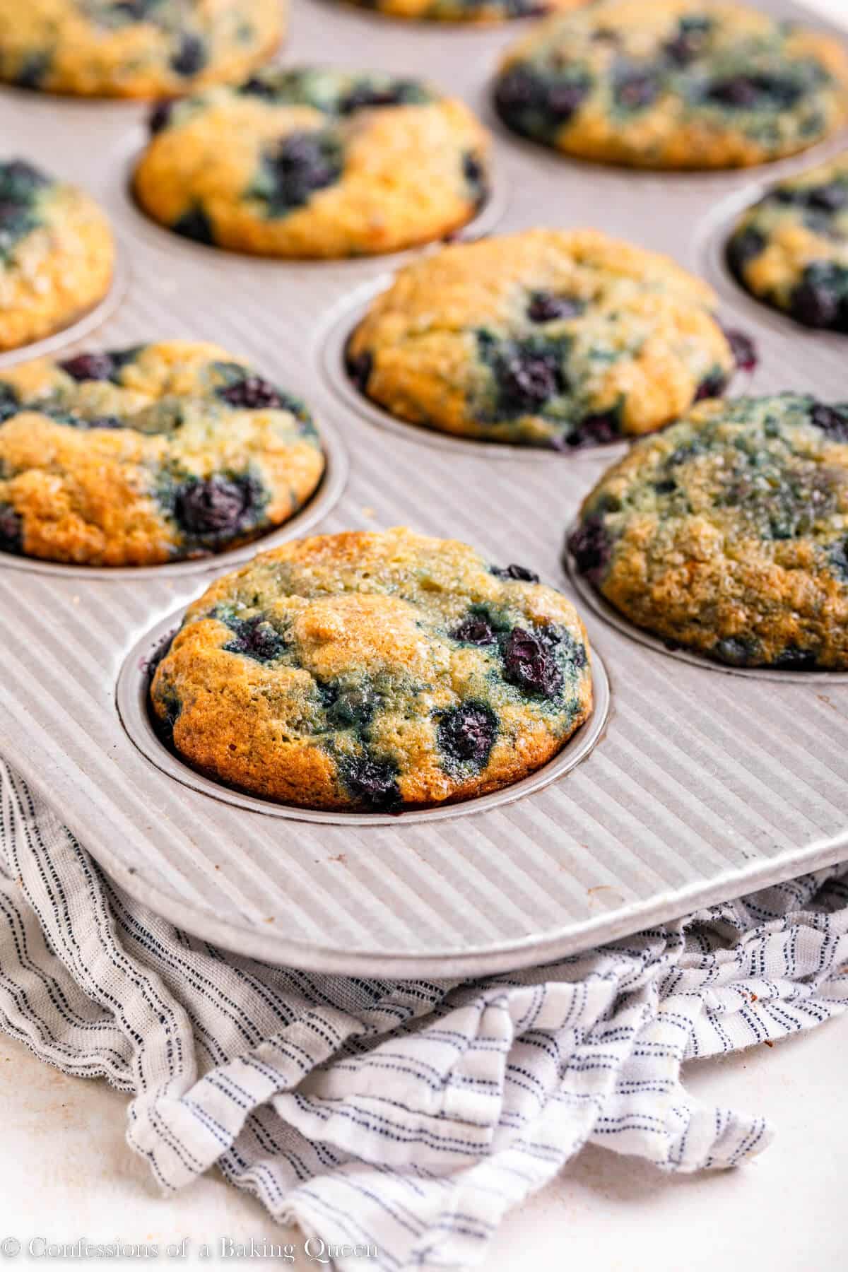 Banana blueberry muffins baked in a muffin tray.