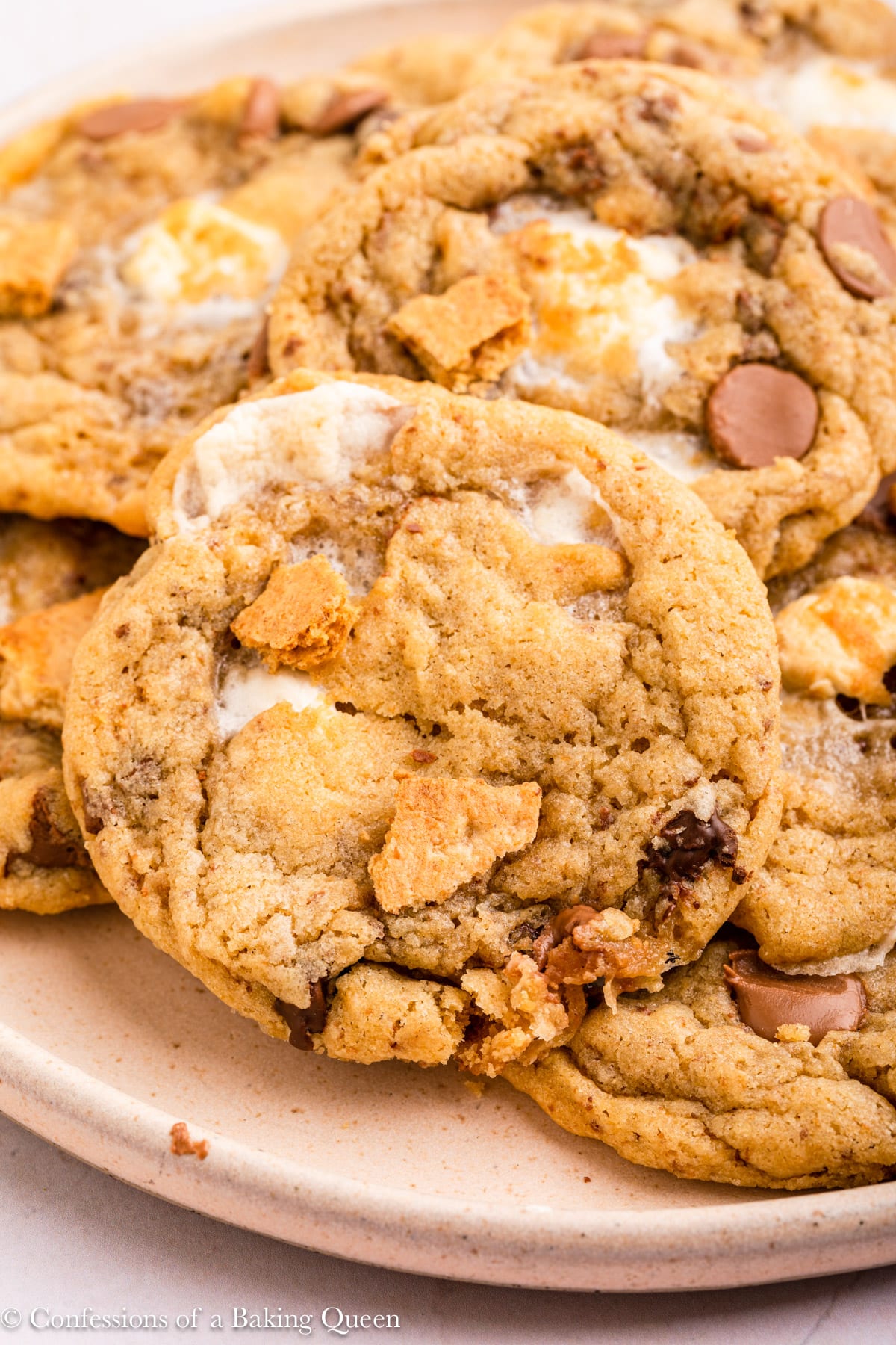 A plate of s'mores cookies.